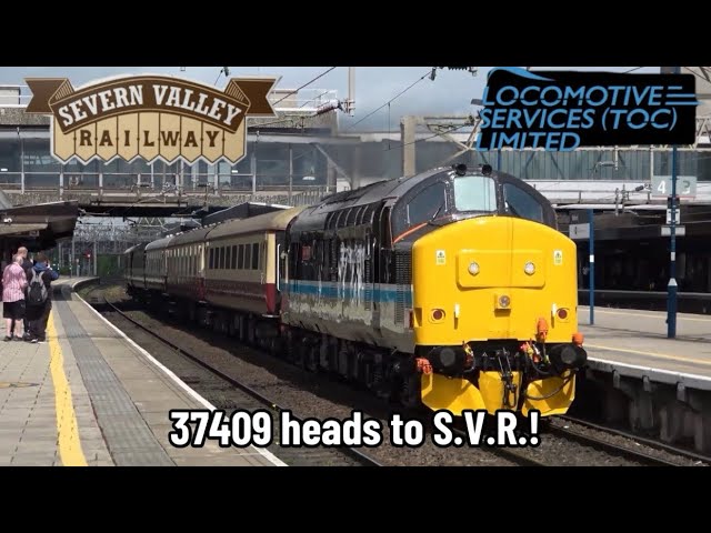 Trains at Stafford | 37409 Heads to the Severn Valley Railway Diesel Gala |