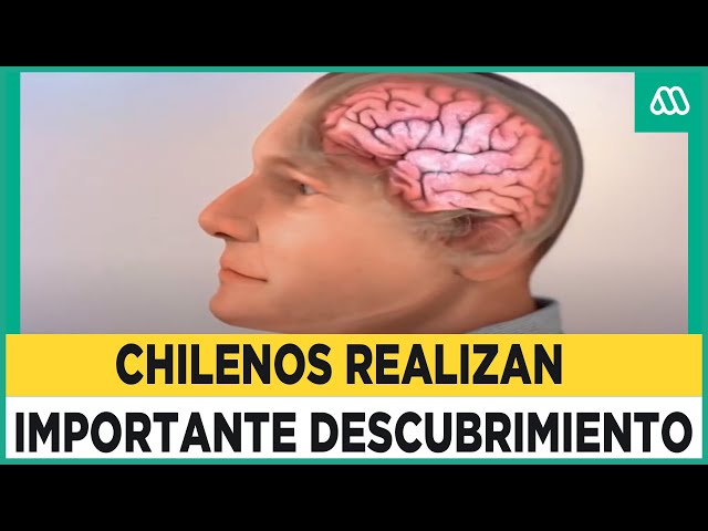 El descubrimiento de chilenos que podría revolucionar el tratamiento contra el alzhéimer