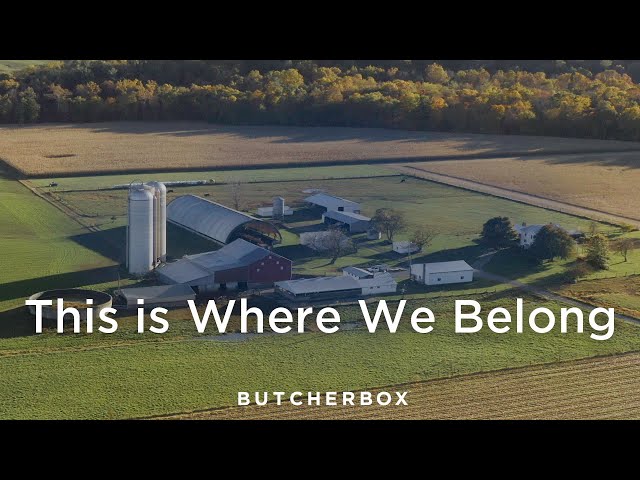 This is Where We Belong | Raising Chickens, A Family Tradition - A ButcherBox Film