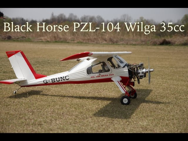 Black Horse PZL-104 Wilga