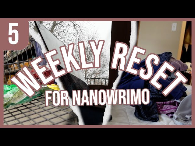 writing reset, meal prepping, writing and rest [nanowrimo daily vlog day 5]
