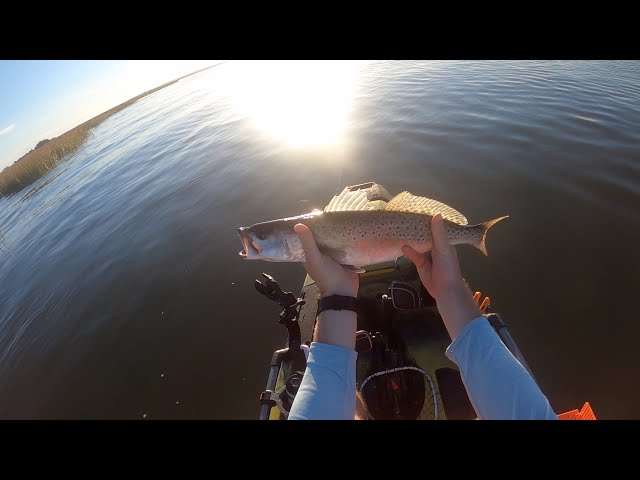 21 Inch Speckled Trout and Salt Marsh Stingray | South Carolina Kayak Fishing