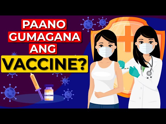 Paano Gumagana ang Vaccine?