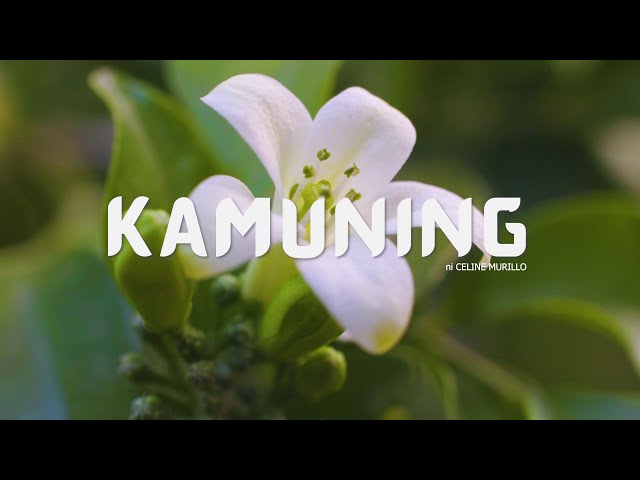Kamuning ni Celine Murillo | Forest Foundation Philippines