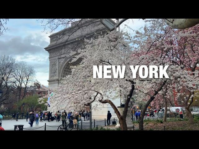New York City LIVE Manhattan on Thursday (April 4, 2024)