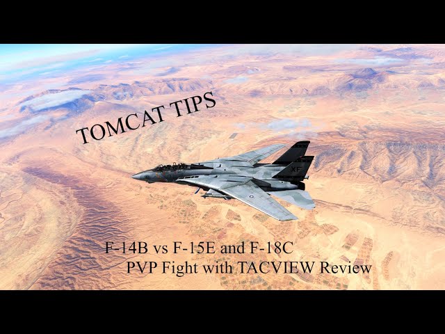 Shiny's DCS Tomcat Tips: F-14B vs F-15E & F-18C - PVP Fight and Debrief