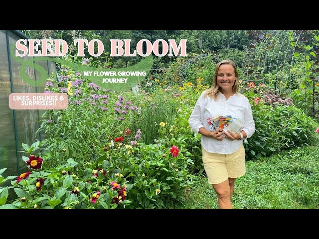 A Flower Garden Started Entirely From Seed - I'm Spilling The Seeds | The Southern Daisy