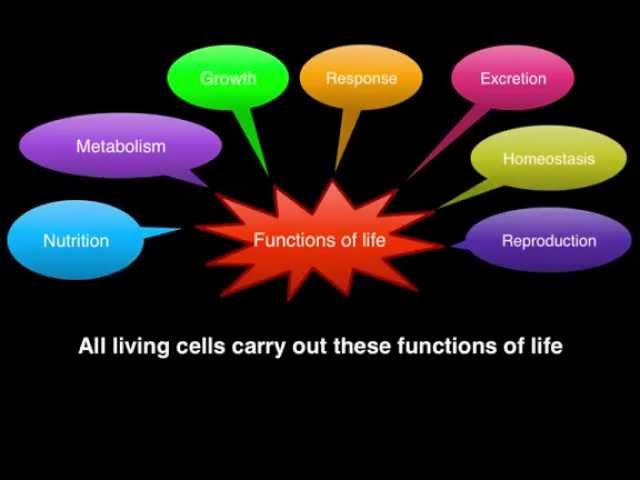 1.1 Functions of Life