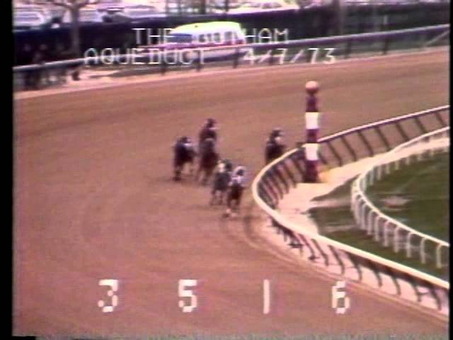 Secretariat - Gotham S. (G2) - Aqueduct Racetrack 04/07/1973