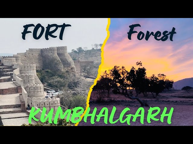 Kumbhalgarh Fort - Great Wall Of India | Kumbhalgarh Wildlife