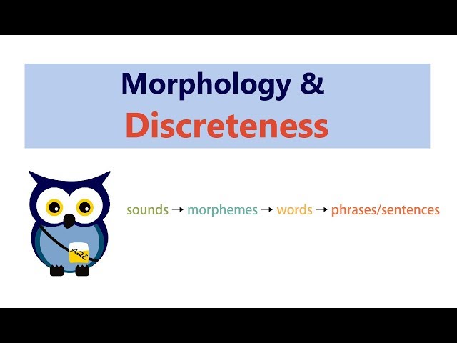 Morphology: Discreteness