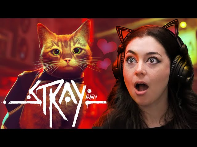 Playing Stray with my cat-obsessed wife