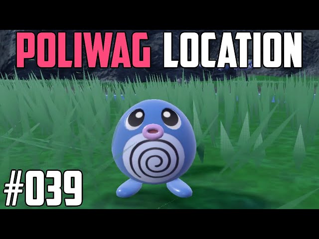 How to Catch Poliwag - Pokémon Scarlet & Violet (DLC)