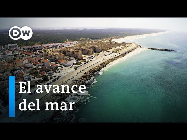 La lucha contra el mar - La erosión costera en Portugal | DW Documental