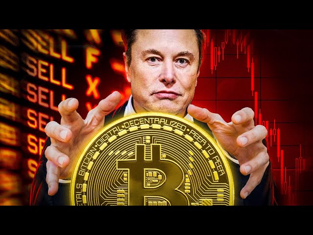Elon Musk On Bitcoin: The Future Or World's Biggest Scam?