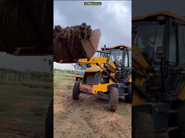 JCB 3DX Fully Loading Dung in 2 Truck