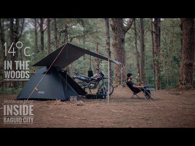 SOLO MOTOCAMPING, CARANTES ANCESTRAL FOREST, SILENT VLOG, NATURE, 14°c cold. BAGUIO CITY