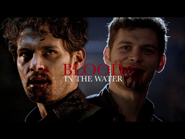 Klaus Mikaelson || Blood in the water