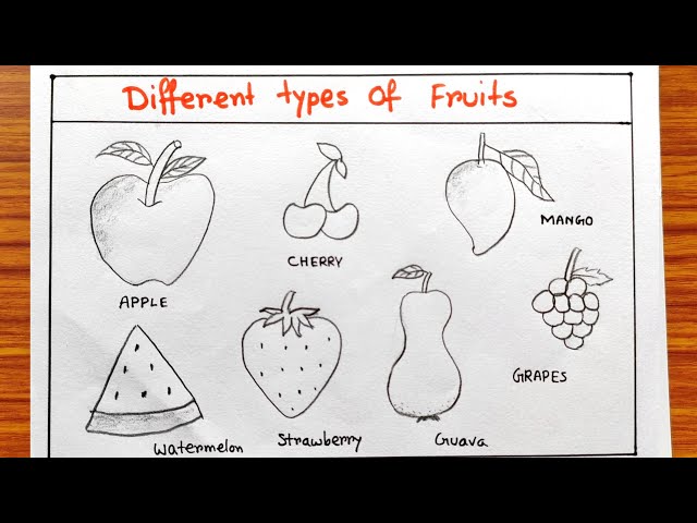 Fruit sketch drawing step by step | How to draw sketch of Fruit | Different types of Fruit sketch