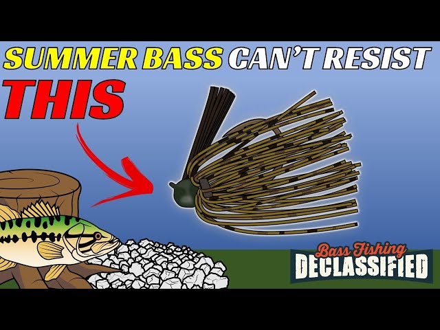 This Technique Works On EVERY Lake For Summer | Don’t Miss Out