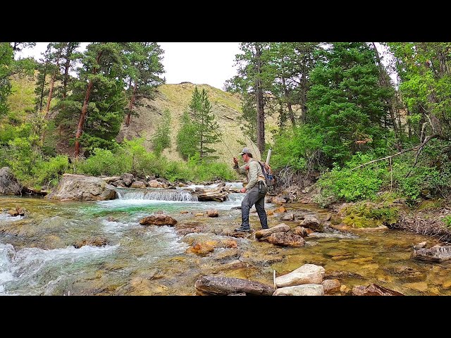 Fly Fishing the most INCREDIBLE Stream in Wyoming  - Fly Fishing Wyoming (part 3)
