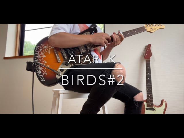 【birds#2 R3.7.1-R3.7.31まとめ】作業BGM・睡眠導入BGM・優しいギターフレーズ