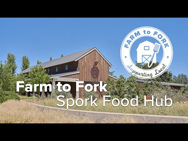 Farm to Fork: Locally Procured Produce from Spork Food Hub