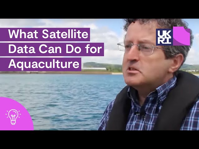 Protecting #Shellfish #Farms with the ShellEye Project: What #Satellite Data Can Do for #Aquaculture