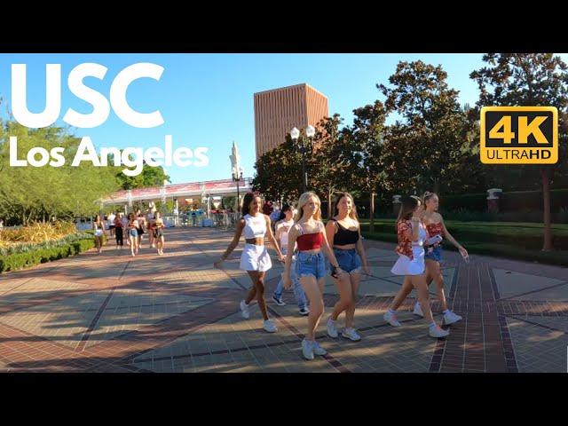 🚶🏻USC Village | University of Southern California | Los Angeles | California |🇺🇸[4K]WIDE