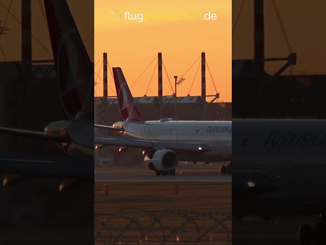 Turkish Airlines Airbus A330 landing 08R Flughafen München EDDM