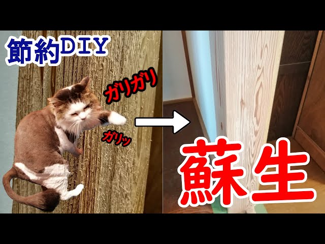 【和室リフォーム】猫にやられた柱　漆喰塗るもアクが大量発生