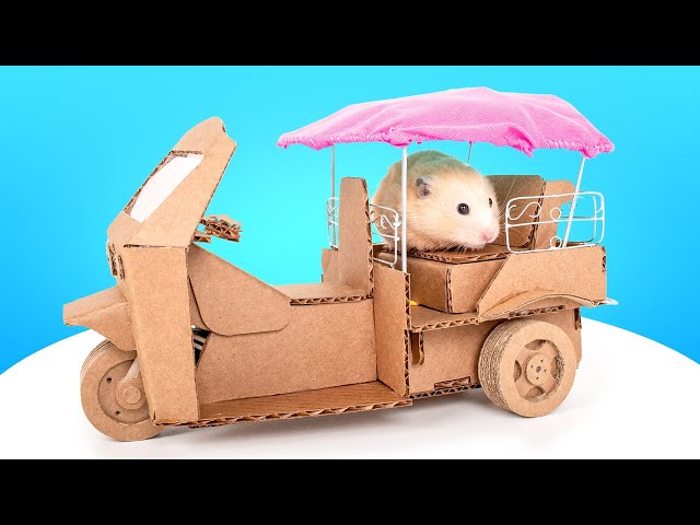 DIY Cardboard Car For Hamster || Building Huge Hamster Maze