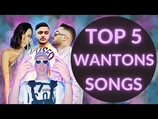 🔥 TOP 5 Wantons Songs | بهترین آهنگ های گروه وانتونز 🔥