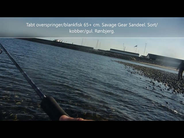 Limfjorden - fiskepladser og givende agn.