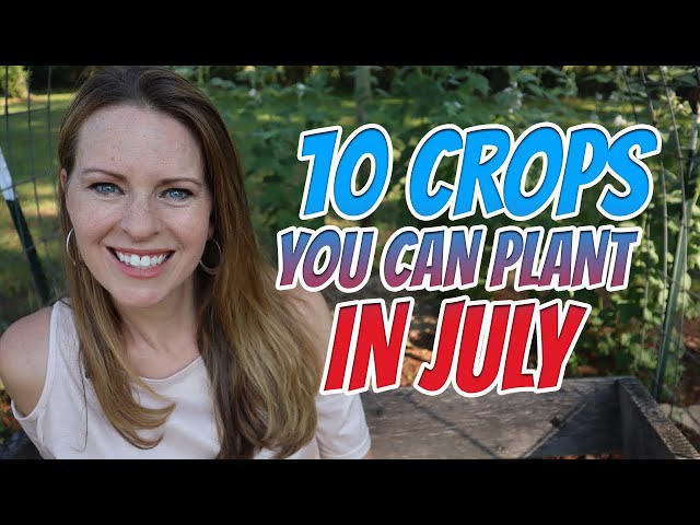 10 Crops you can plant in July