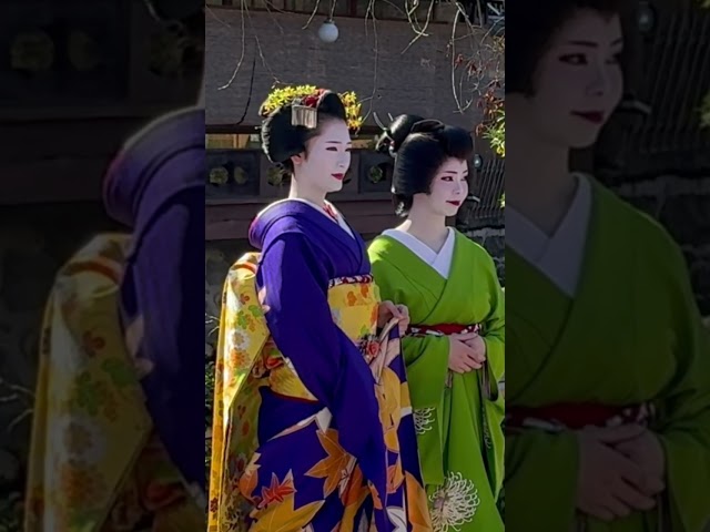 かにかくに祭に参加された芸舞妓さん #京都 #舞妓