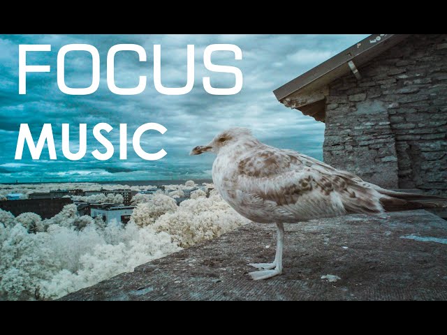 Focus Music Slow and Simple Beat for Focusing Studying Meditation Day Trading