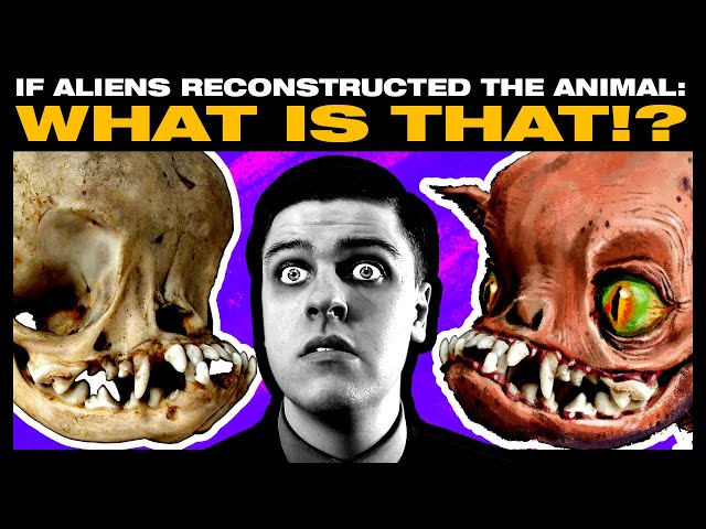If Aliens Reconstructed Animals From Their Skulls