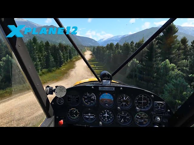 X-Plane 12 | MAXED Graphics Settings | A330, RV-10, Storms, Trees More...