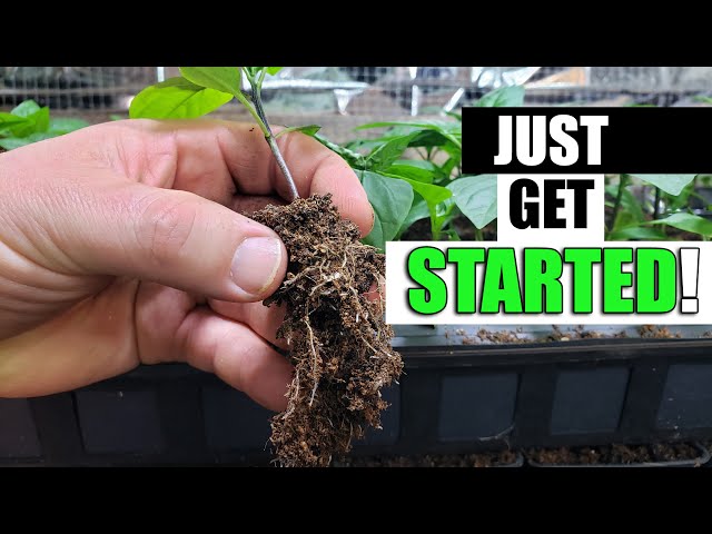 Just Get Started (Planting A Garden)