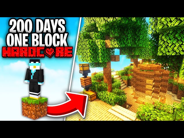 I Survived 200 Days on One Block Skyblock!