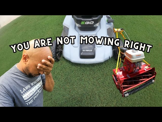 Top 3 Reasons Why Mowing Every Two Weeks At One Inch Is A Bad Idea!