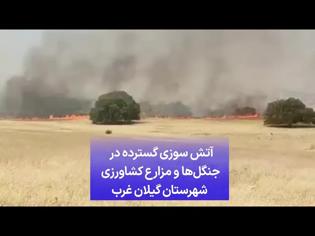 آتش سوزی گسترده در جنگل‌ها و مزارع کشاورزی شهرستان گیلان غرب