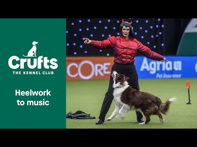 Heelwork To Music Competition - Part 2 | Crufts 2022