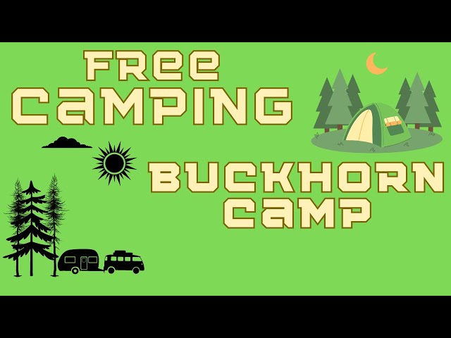 Free Camping | Buckhorn Camp (Apalachicola National Forest)