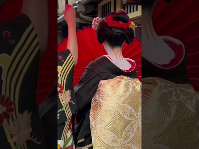 和傘の似合う可愛くてお淑やかな舞妓さん #京都 #舞妓