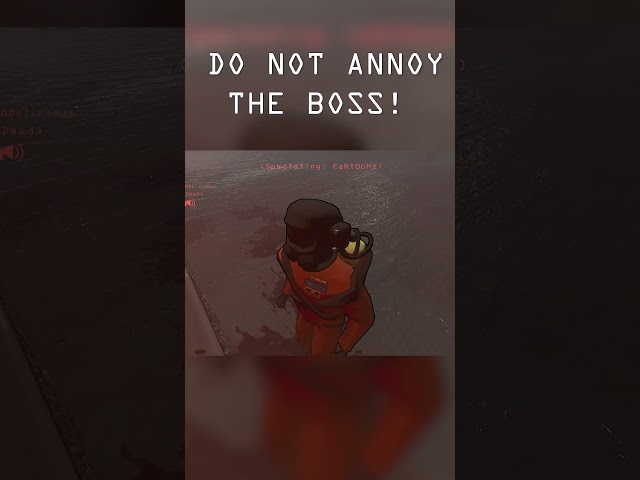 DO NOT ANNOY THE BOSS!
