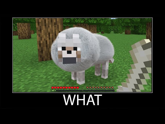Minecraft wait what meme part 68 realistic minecraft wolf