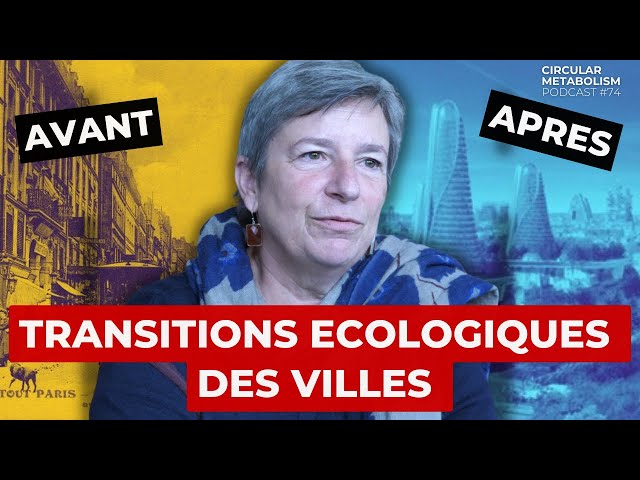 Comprendre les Transitions Ecologiques des Villes (Sabine Barles)