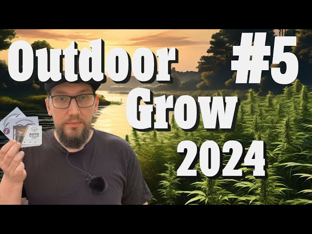 Outdoor Grow 2024: Lasst uns über Autos schnacken! | EP 5